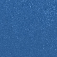 Próbka Standard 1