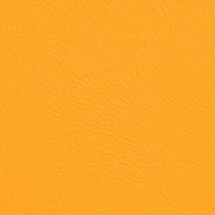 Próbka Standard 5