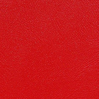 Próbka Standard 6
