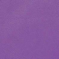 Próbka Standard 8