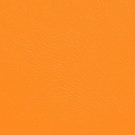 Próbka Standard 10
