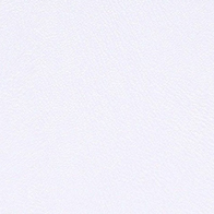 Próbka Standard 11